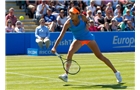 BIRMINGHAM, ENGLAND - JUNE 12:  Ana Ivanovic of Serbia hits a return during Day Four of the Aegon Classic at Edgbaston Priory Club on June 12, 2014 in Birmingham, England.  (Photo by Paul Thomas/Getty Images)